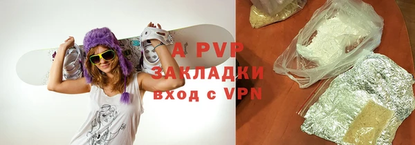 СК Вязьма