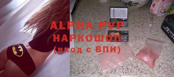 СК Вязьма