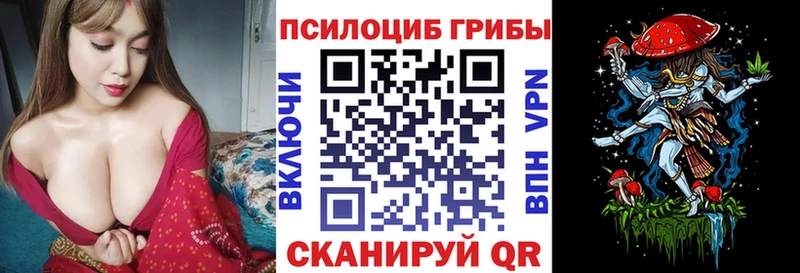 Купить где  Кумертау  Псилоцибиновые грибы Psilocybe 